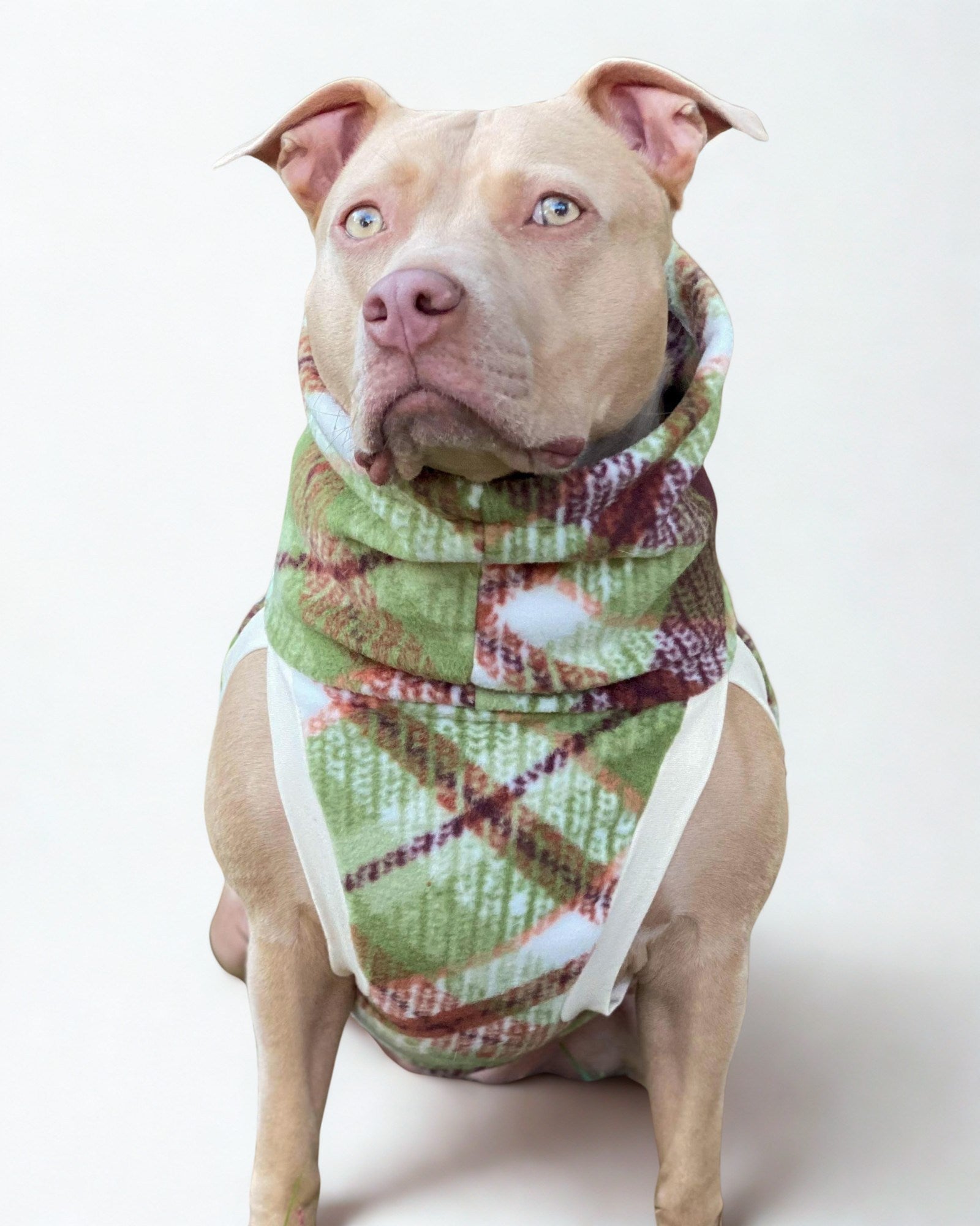 Autumn Plaid Dog Sweater