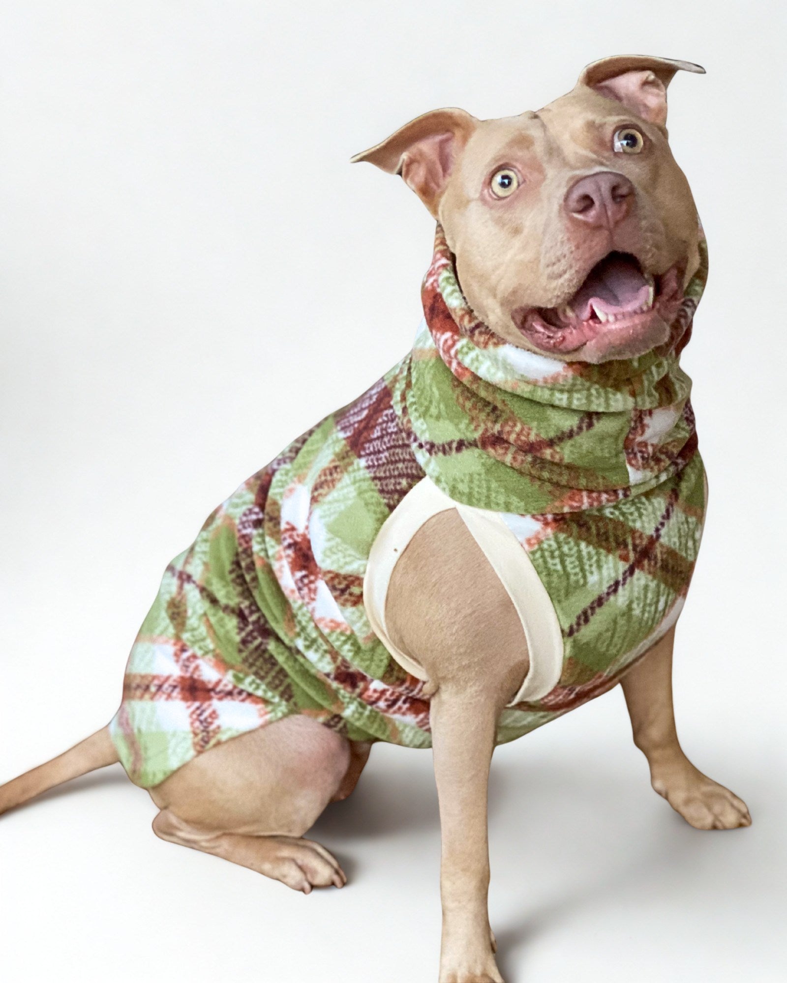 Autumn Plaid Dog Sweater